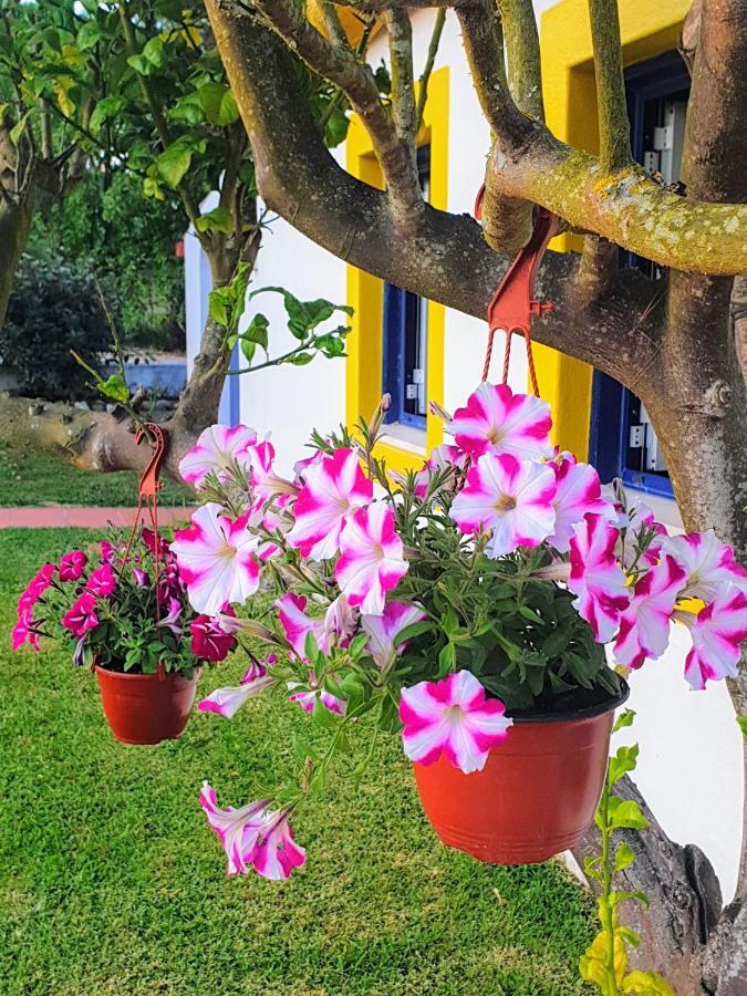 Willa Sondela Self Catering São Martinho do Porto Zewnętrze zdjęcie