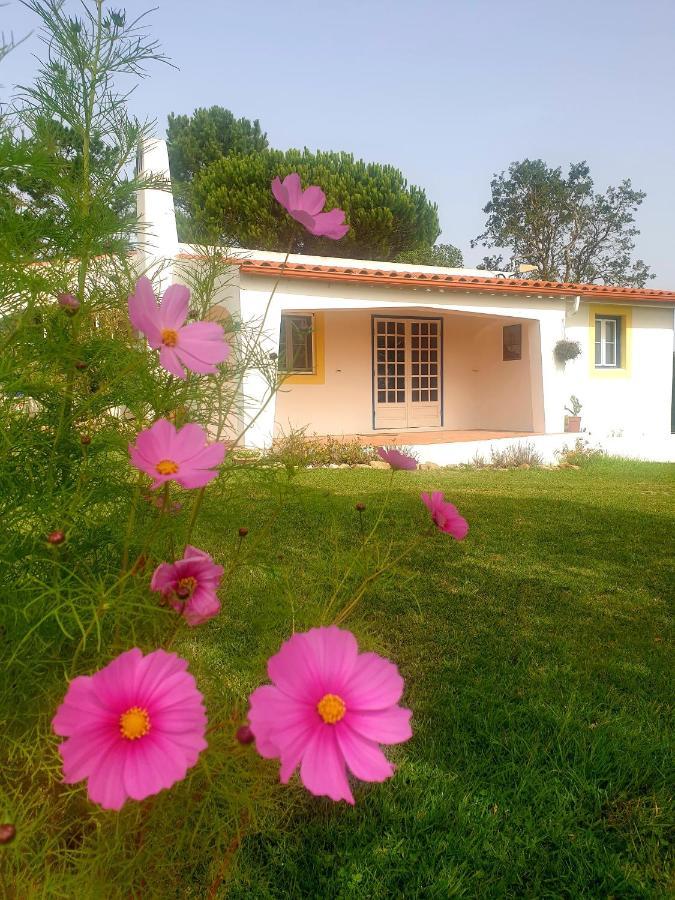 Willa Sondela Self Catering São Martinho do Porto Zewnętrze zdjęcie