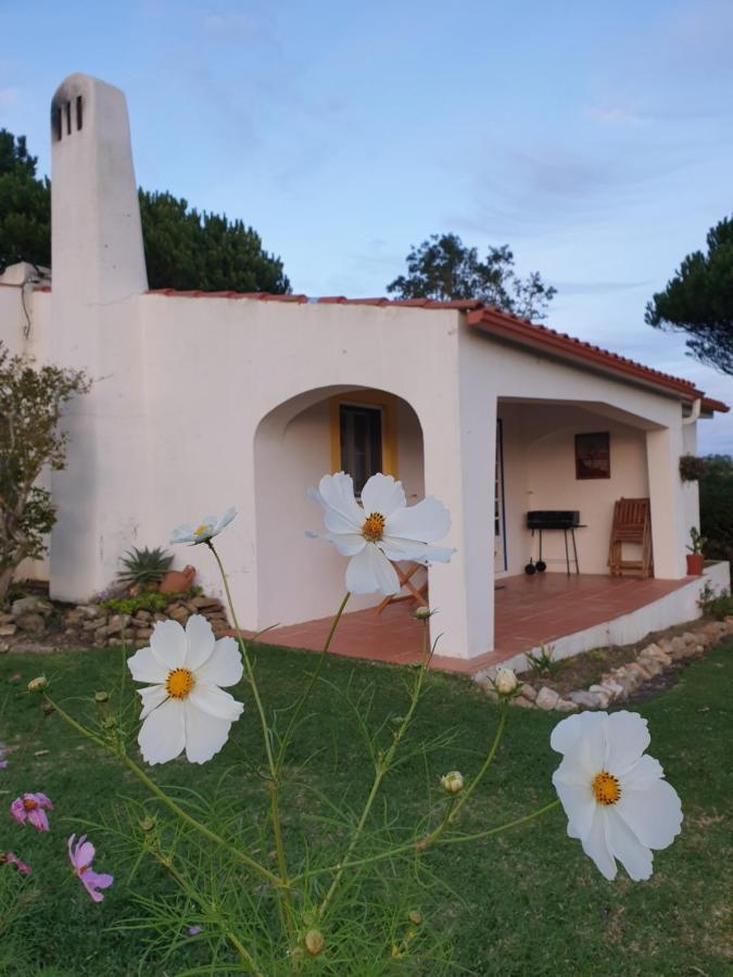 Willa Sondela Self Catering São Martinho do Porto Zewnętrze zdjęcie
