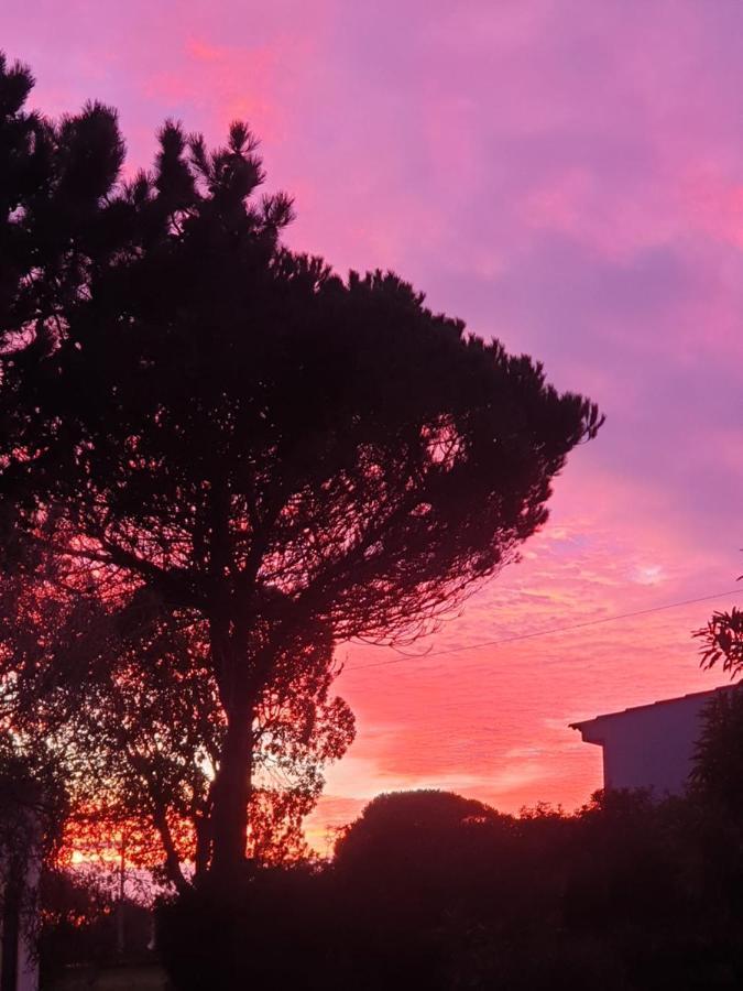 Willa Sondela Self Catering São Martinho do Porto Zewnętrze zdjęcie