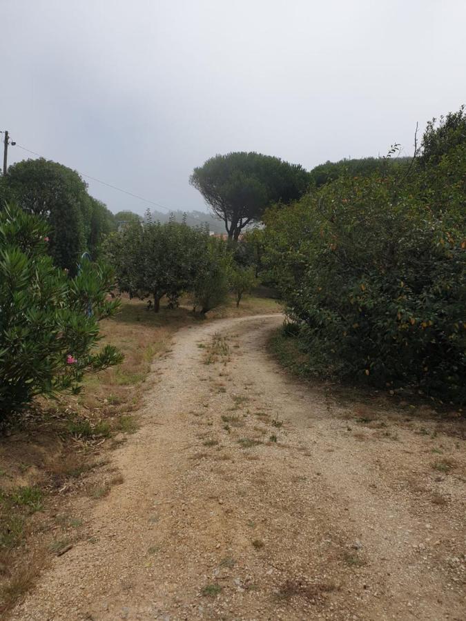Willa Sondela Self Catering São Martinho do Porto Zewnętrze zdjęcie