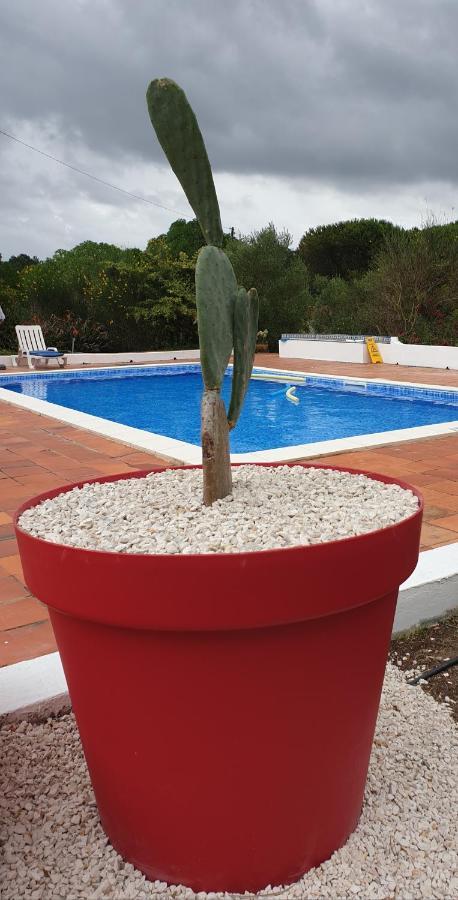 Willa Sondela Self Catering São Martinho do Porto Zewnętrze zdjęcie